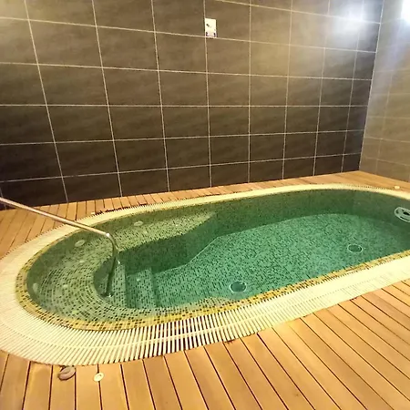 Apartament Hambury Palace-spa-palestra-ideale Inverno *
